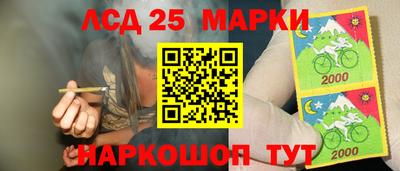 индика Пушкино