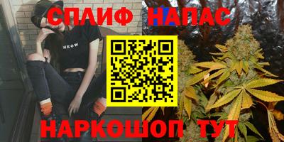 ALPHA PVP Пугачёв