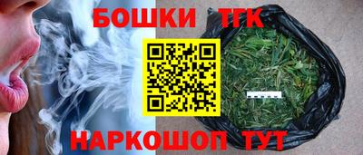 индика Пушкино